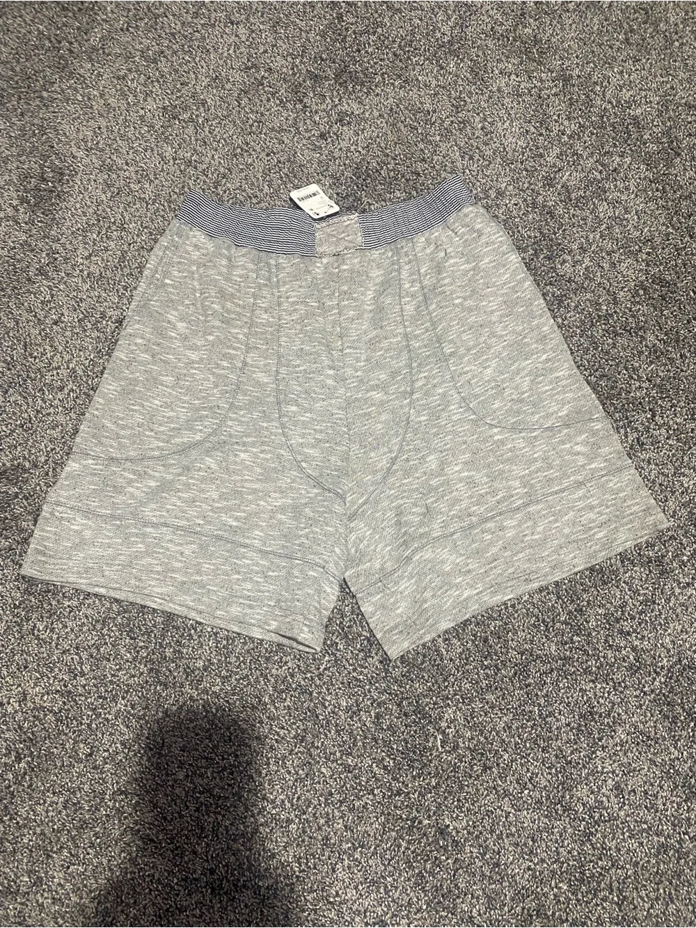 Free People Everything I Want Shorts